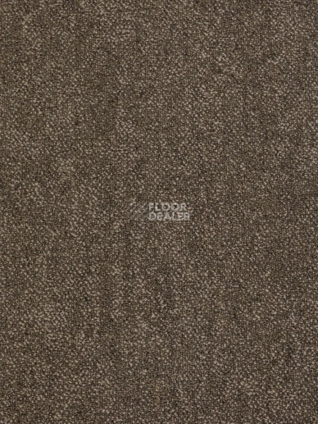 Ковролин Haima Coral 06 фото 1 | FLOORDEALER